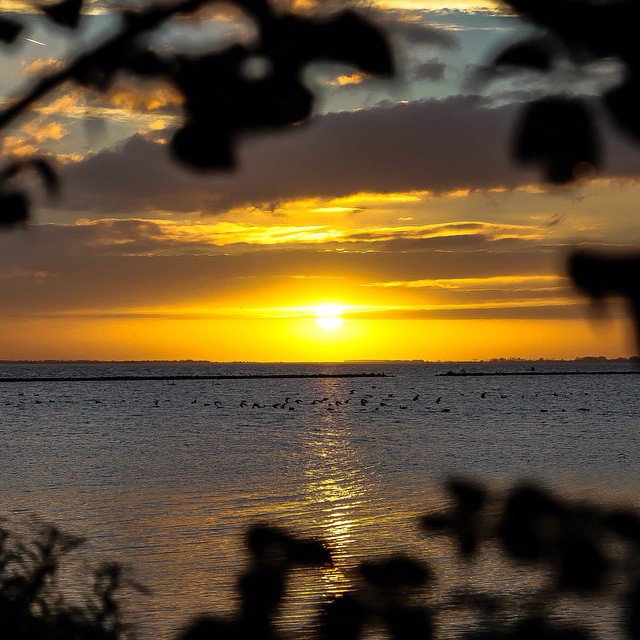 Havenlust's tweet photo. The light always returns. https://t.co/ast5Mx3Ia0