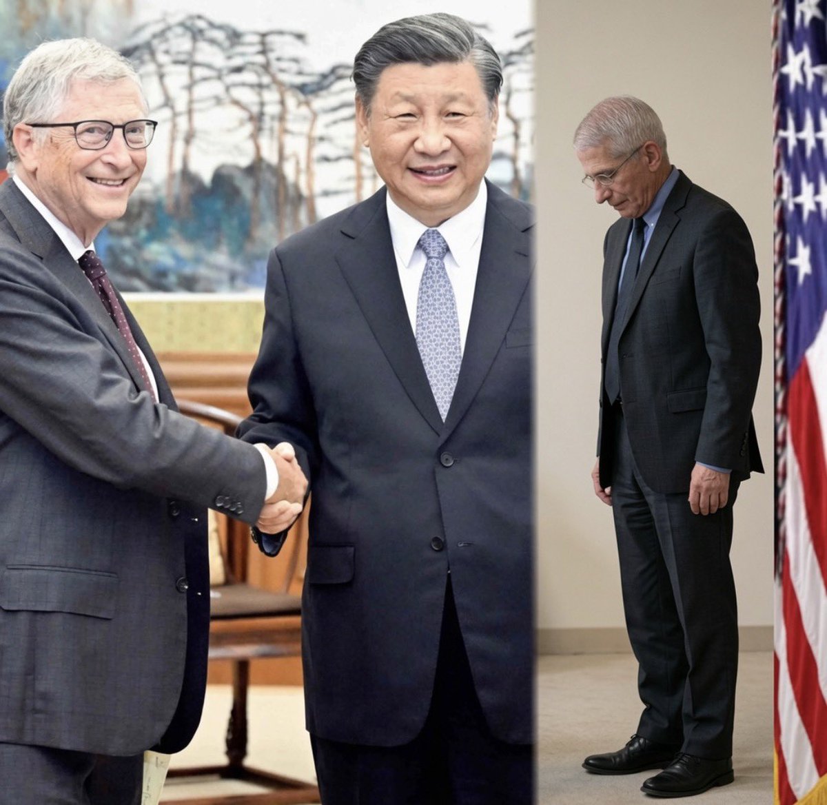 liz_churchill10's tweet photo. Bill Gates and Dr. Fauci partnered with China to unleash a ‘Pandemic’ which created the excuse for mail-in ballots that were used to steal the 2020 election… https://t.co/EmHlEip5RM