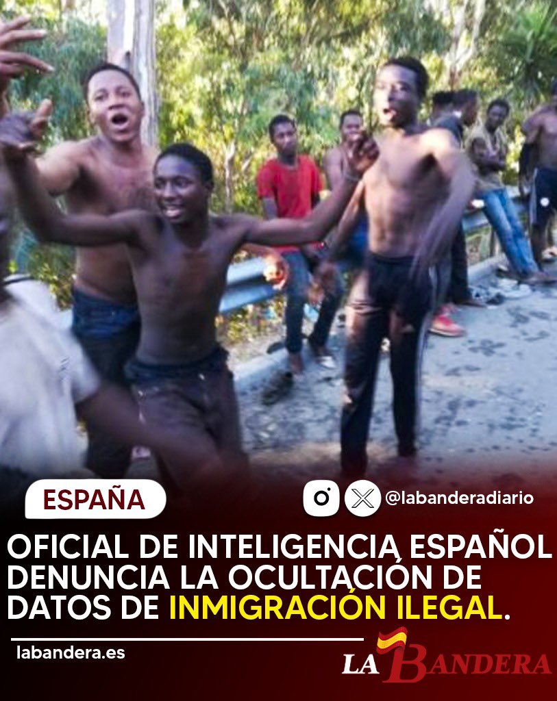 labanderaes's tweet photo. 🔴 Un oficial de Inteligencia ha revelado que existen directrices políticas claras para evitar que trasciendan datos sobre la criminalidad vinculada a la inmigración masiva. 

Fuentes policiales denuncian una opacidad selectiva en diversas regiones, señalando que se impide relacionar los hechos delictivos con el origen de los autores para evitar problemas políticos, dificultando así que la sociedad conozca la magnitud real del problema.