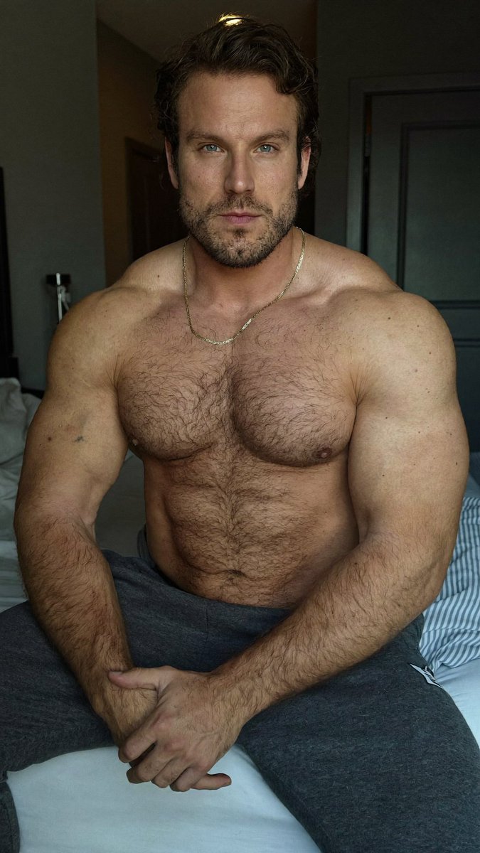 Hercules Bears tweet media