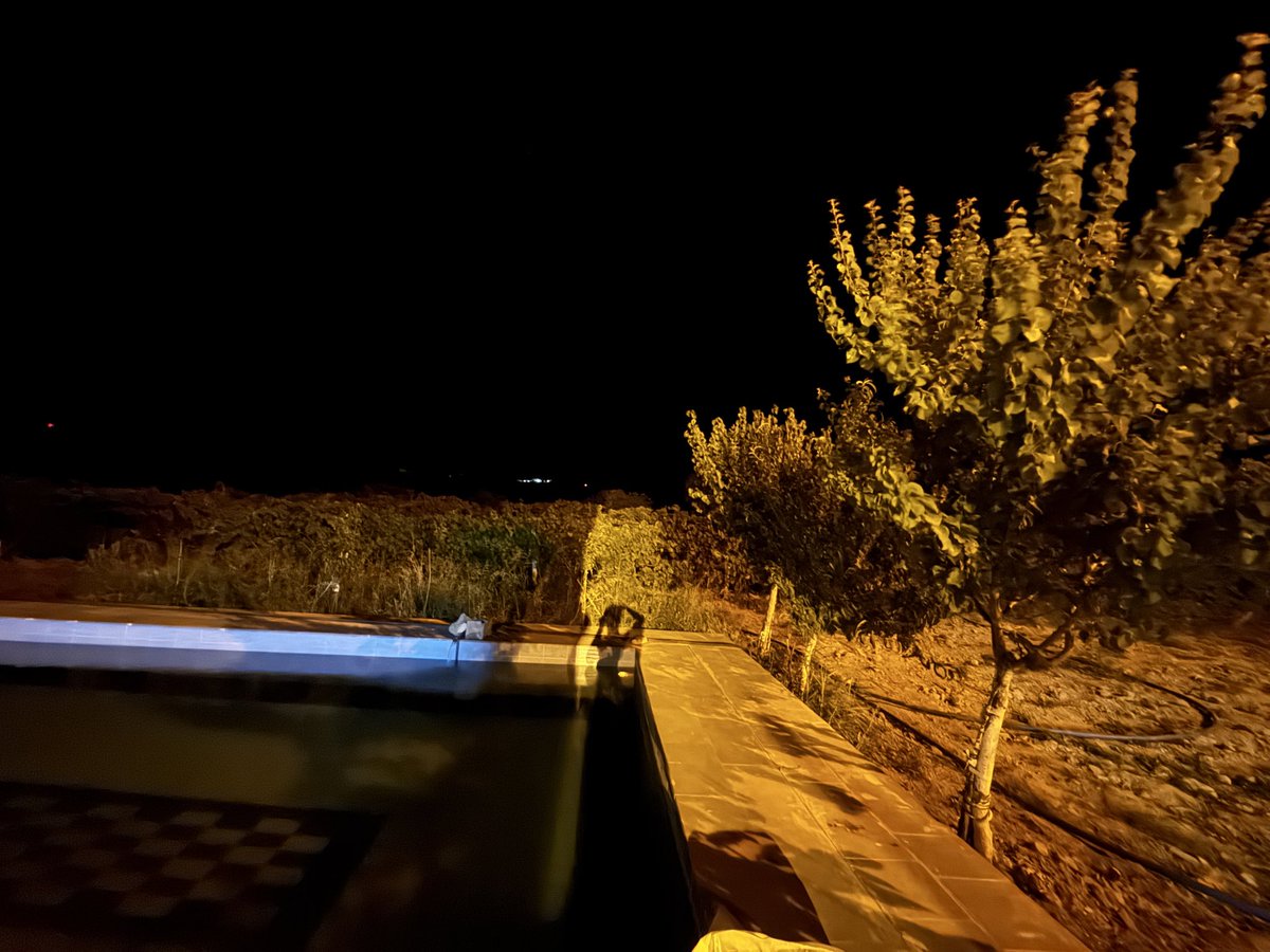 zarencc's tweet photo. O günler o gecelerdeyim. Şükür. https://t.co/2B9Qje3Lry