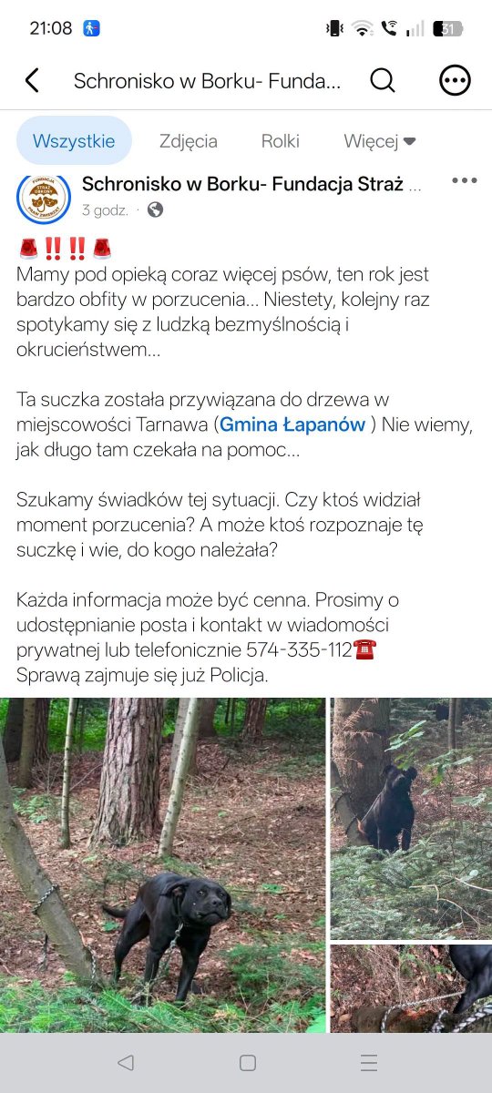 RobwalkaW's tweet photo. Kochana nasza Polska
Sunia w typie TTB porzucona w lesie... 
Może ktoś ją rozpoznaje?
ludzie to kur ... https://t.co/7z5OkxZJmd