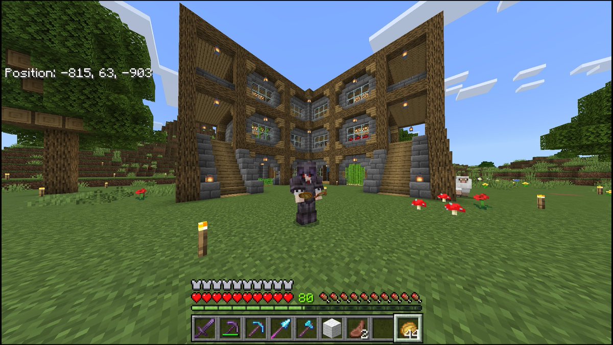 lirixz2's tweet photo. Llevo 1 semana con el cortisol bien bajito debido a que decidí viciar minecraft y dejar para después el persona 5 https://t.co/rTkGmA9KAZ