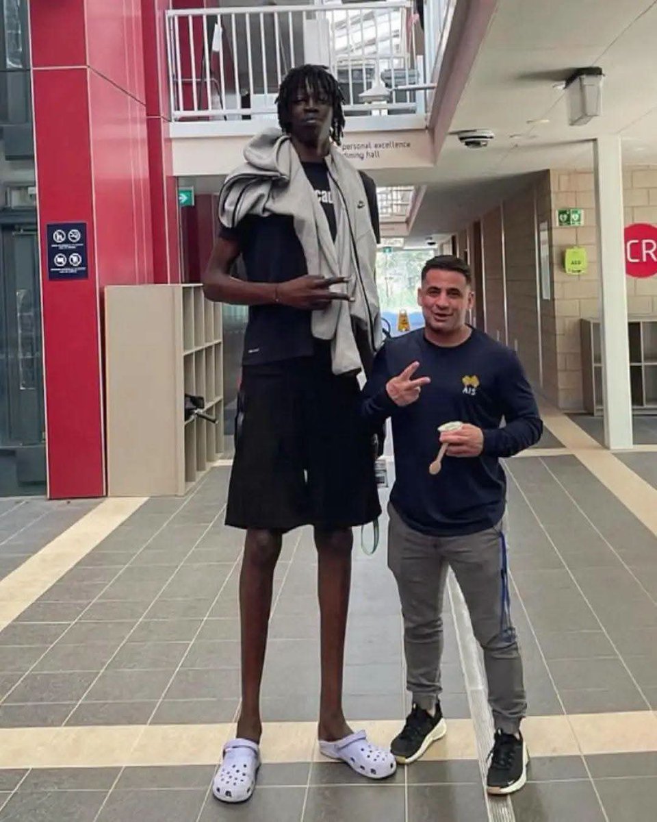BandeInfo1's tweet photo. 🏀 #Basket  
À 18 ans, Jongkuch Mach, 2,29 m, affole déjà les plus grands clubs.  
Le prodige australien d’origine sud-soudanaise s’impose comme l’une des plus grandes promesses de sa génération. 🔥 https://t.co/BOaQKfOSID
