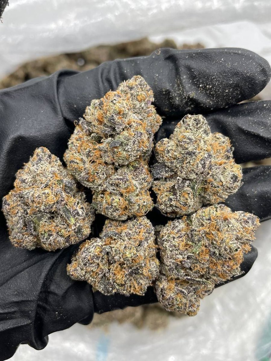 STONER ZION DISP tweet media