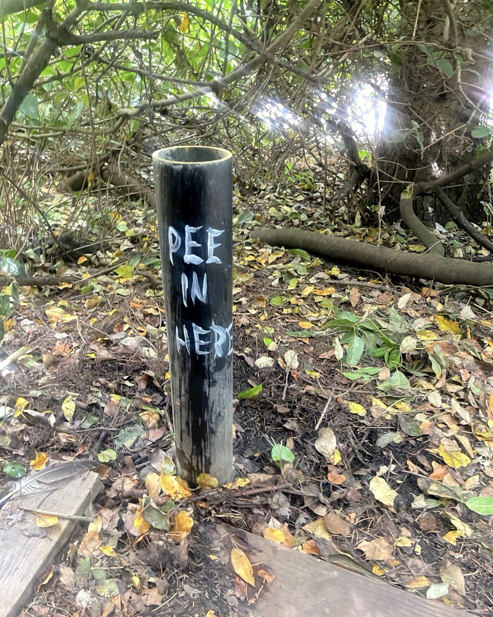 blankfw9r's tweet photo. Someone installed “PEE IN HERE” pipes next to the shore at Howell Park, a nude beach next to Denny Blaine in Seattle. This is disgusting and it’s exactly how we lose another nude beach… #howellpark #dennyblaine #nudebeach #gaynudebeach #dennyblainepark #dennyblainebeach https://t.co/vt73oP8zuw