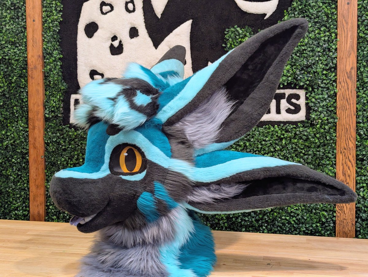 HomebrewedSuits's tweet photo. Shipping out this brand new Avali today (He's so EARS 🫪)

#FursuitFriday https://t.co/2ZPaUffXBR