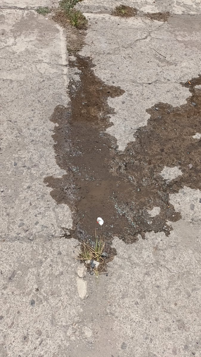 isakkun_2016's tweet photo. @Aguaparatodas por favor revicen la fuga de agua que empieza a filtralce. Aquí en loma bella en frente al oxxo https://t.co/G5KSSI6BXp
