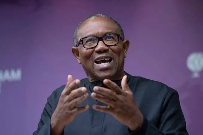 Oluwakemi Oyefeso tweet media