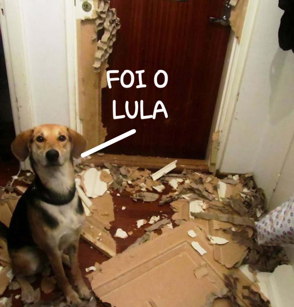 Rembodinho's tweet photo. Bolsonaristas quando fazem algo ruim para o país... https://t.co/3945reM6Bk