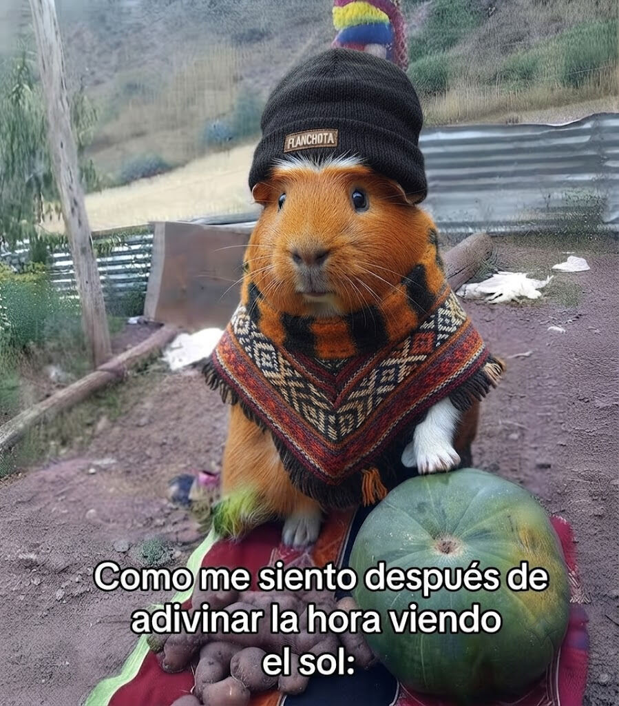 flanchota's tweet photo. https://t.co/RBeX9Ezk0C