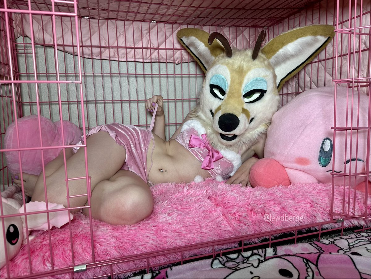 lewdberrie's tweet photo. Click to meet cute sexy fennecs in your area 💕👀 https://t.co/9mH8oQw2Ca