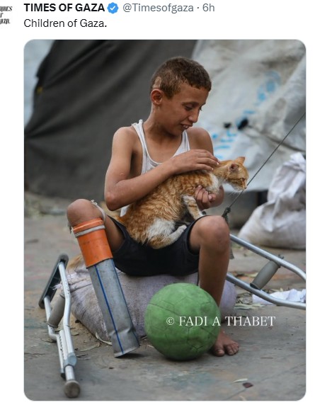 queenkittn79's tweet photo. @HowardA_AtLaw RIGHTttttt...cause he NEEDS child murder to continue to remain relivent! If we stopped funding Genocide what kind of world would this be???? #globalizetheintifada https://t.co/XFWfVlMbdp