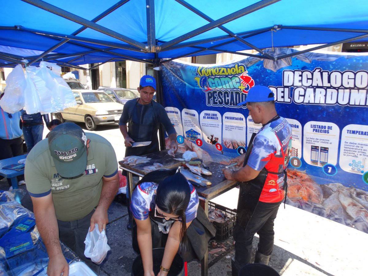 avnve's tweet photo. #Regiones || Desarrollan jornadas del Plan Venezuela Come Pescado en seis municipios de Mérida

➡️https://t.co/KZ6REnmoQp https://t.co/BL8Vp0p6Gu