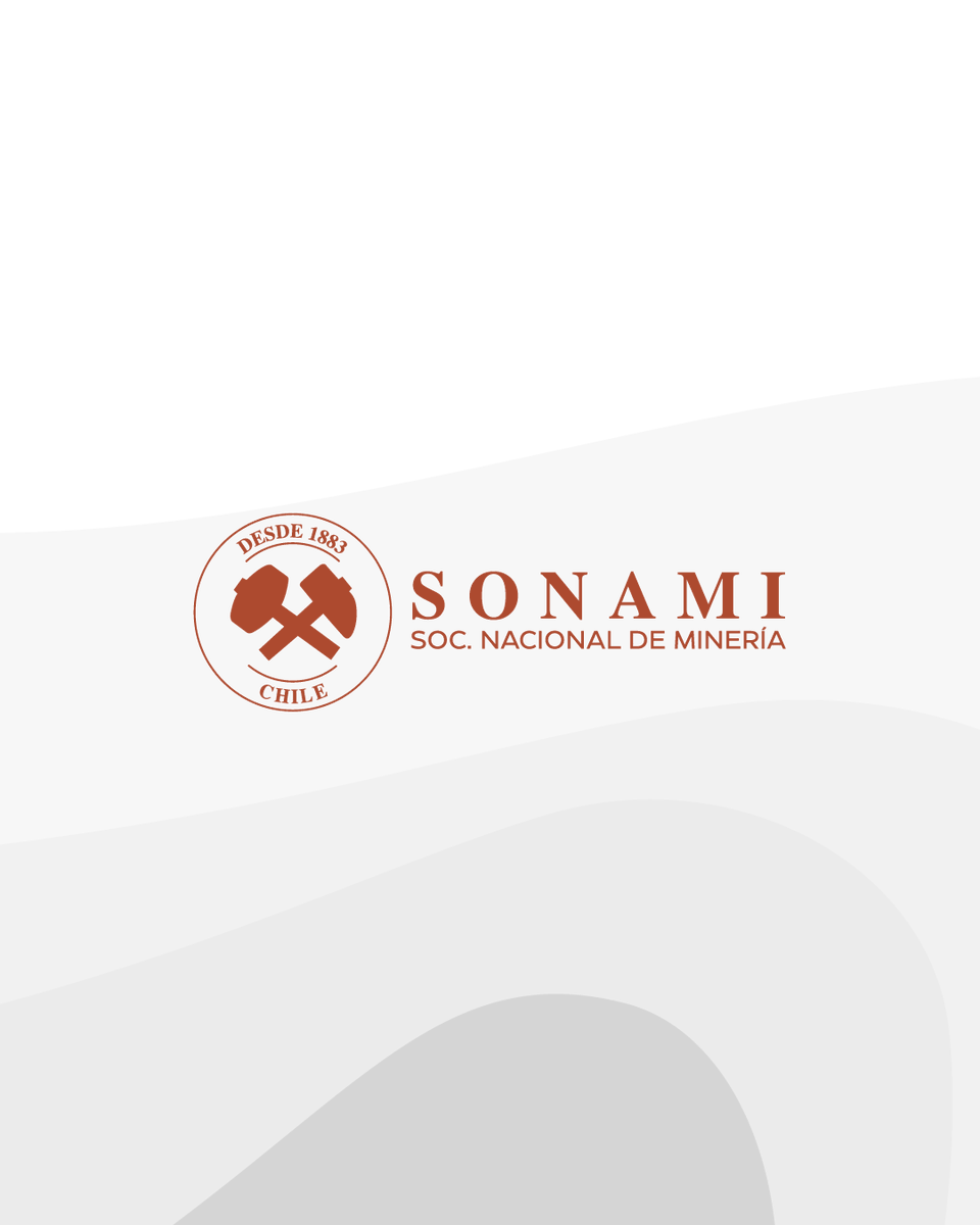 Sonami_Chile's tweet photo. #SONAMIenMedios 🗞️👇 https://t.co/6V7DRSIDfA