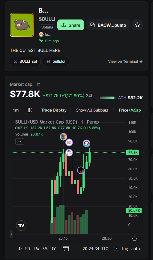 BULLI_sol's tweet photo. NEW ATH SOON
target: 100k mc

ca: BACWGGeNqoqEs2j7iDULcAkW7PHcVYfPgRjoTjdbpump
$BULLI

#shill #pumpfun #dexscreener #pumpswap #gem #memecoin #memcoin https://t.co/TKjrfgtnn2