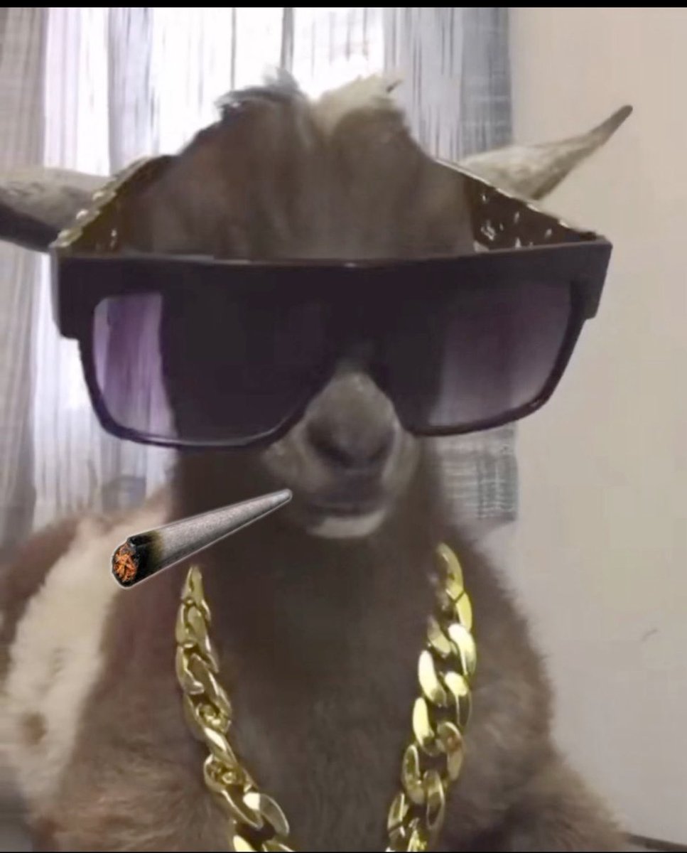 GDank30496's tweet photo. @mistor And you fade $Dank memes https://t.co/7n2lLWK99J