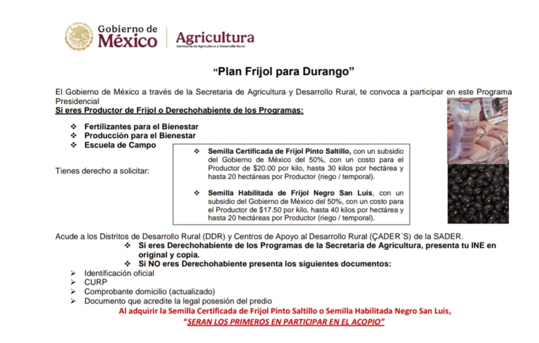 agricultura_dgo's tweet photo. Productor (a) en Durango,  acude cuanto antes DDR/CADER más cercano por tu Semilla Certificada de Frijol Pinto Saltillo y Habilitada Negro San Luis. 

Al adquirir tu semilla, aseguras el acopio en la comercialización de tu cosecha.

@Claudiashein
@columbalopezg
@RaulSalgadoSV https://t.co/y5UDqXFXBB