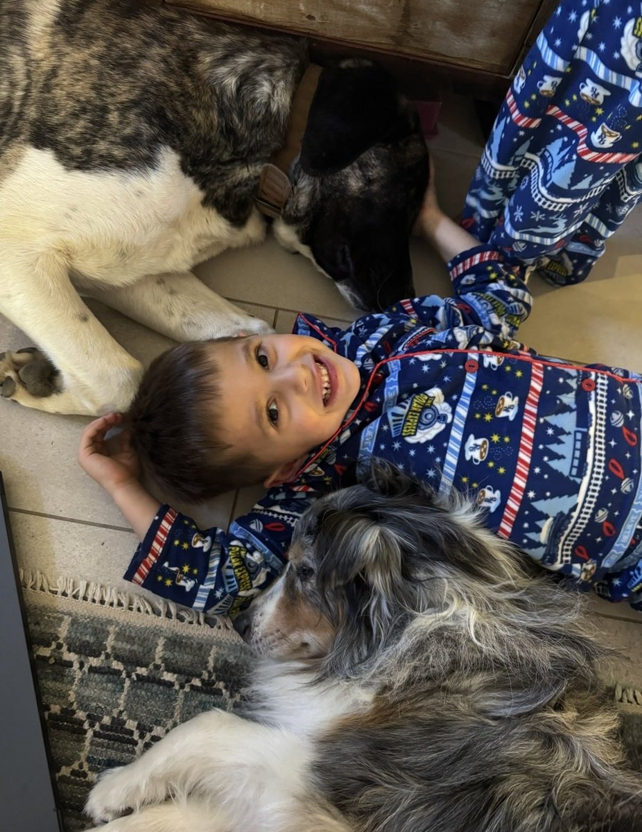 JenniferEvn22's tweet photo. January 1, 2025. Snuggles lived for pets and cuddles, it’s all that he wanted. In the house he would follow us till he got attention or he would snuggle with our elder dog Rallye. Praying someone at the shelter is giving him love he lives for

#SaveSnuggles https://t.co/uhDjzyC08N