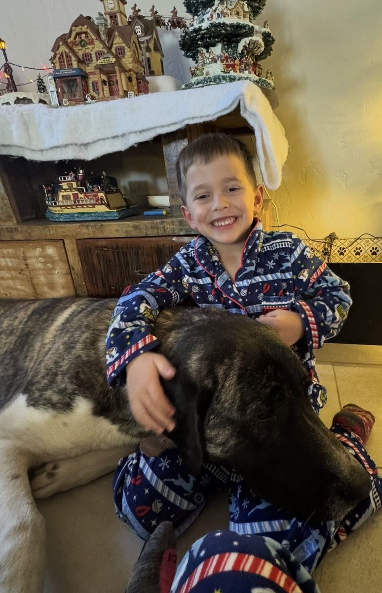 JenniferEvn22's tweet photo. January 1, 2025. Snuggles lived for pets and cuddles, it’s all that he wanted. In the house he would follow us till he got attention or he would snuggle with our elder dog Rallye. Praying someone at the shelter is giving him love he lives for

#SaveSnuggles https://t.co/uhDjzyC08N