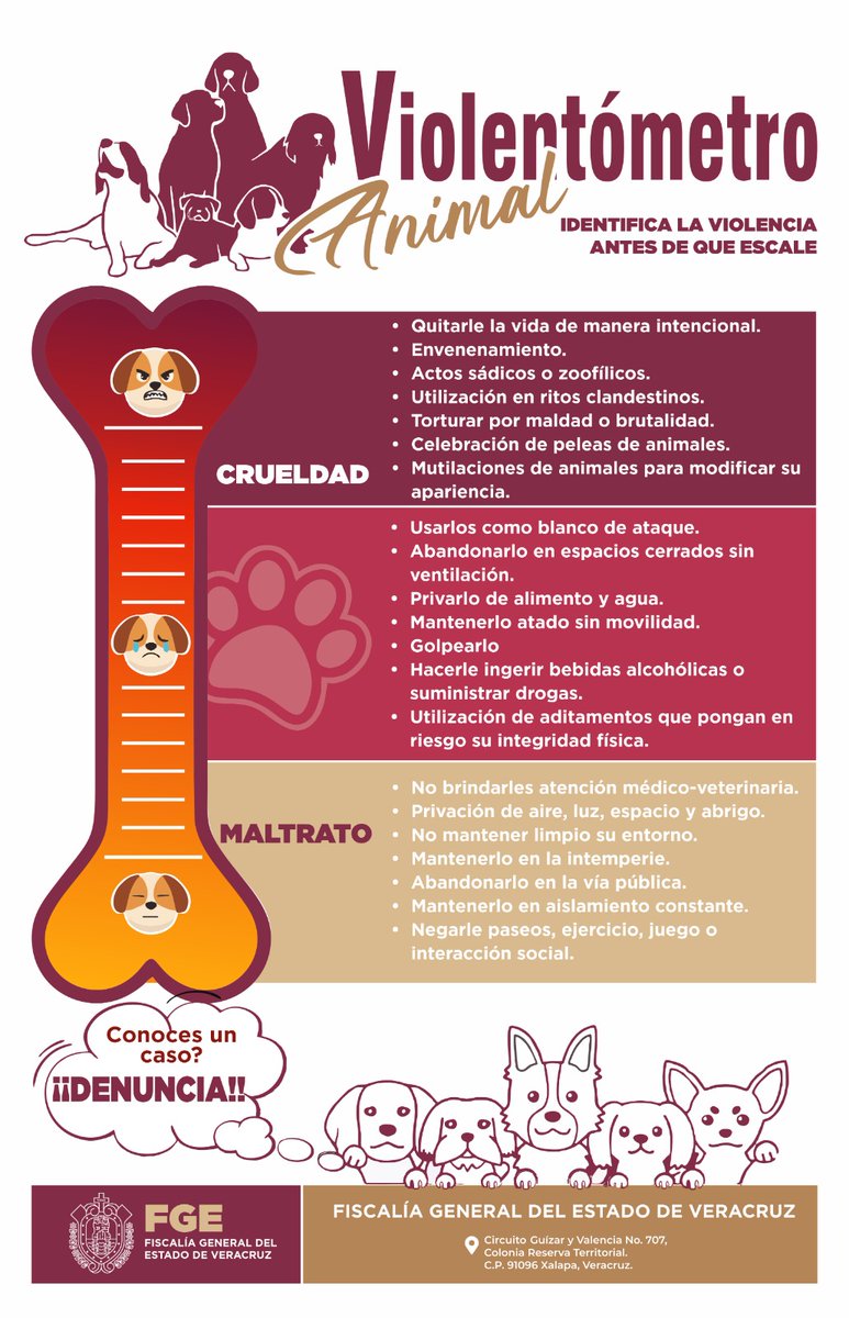 FGE_Veracruz's tweet photo. 🐾 Identifica el maltrato animal, actúa y denuncia antes que escale.

Teléfono de contacto FEDAYCA:  228 841 6170 Extensiones 3023 y 3024

#NoAlMaltratoAnimal #Denuncia #FEDAYCA https://t.co/lWeGbOnxVM