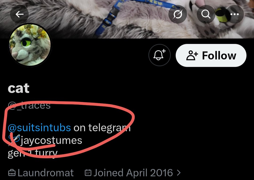 indigobang1's tweet photo. @_traces @lacelapin Ah yes, you're a zoophile defender. Caught you. https://t.co/dL1mOqc6Al