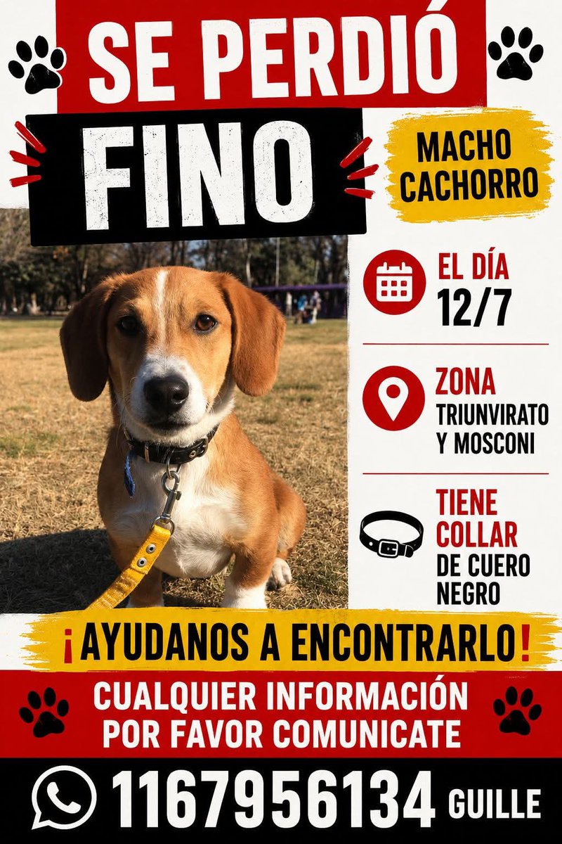 jimenadequilmes's tweet photo. Si alguien está reteniendo a FINO, COMUNICARSE POR FAVOR!!!💞 SU FAMILIA LO ESTÁ BUSCANDO!!!🙏🥹💓 Desde ya, muchas gracias!!!🐶🤗❤️ #Quilmes #QuilmesOeste #PerroPerdido https://t.co/Blc9bI6tyc