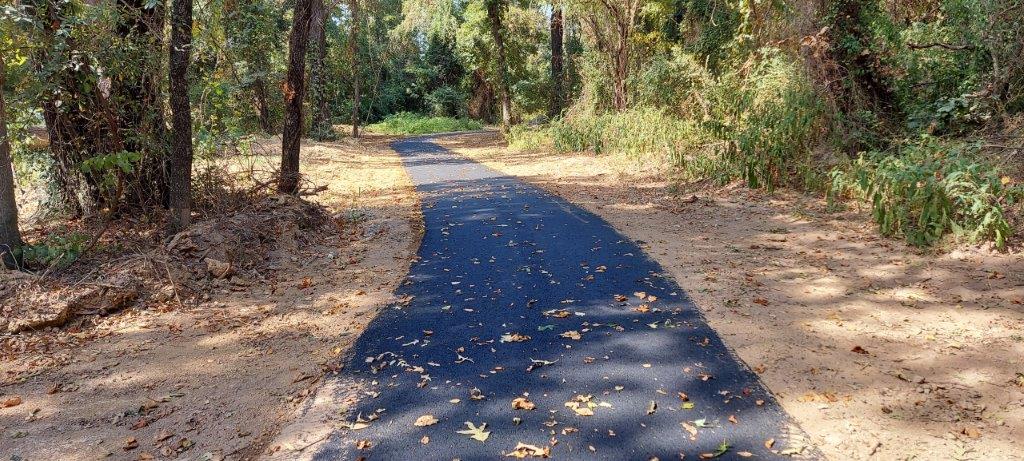 TravelOK's tweet photo. Have an idea, need or place for a trail? Our Grants Administration team just opened the application process for our Recreational Trails Program (RTP)! Learn more about the RTP project requirements and application instructions at https://t.co/F1wQtIeeC7

📷  Pine Ridge Trail at The Nature Conservancy's J.T. Nickel Family Nature and Wildlife Preserve in Proctor, a successful RTP project.