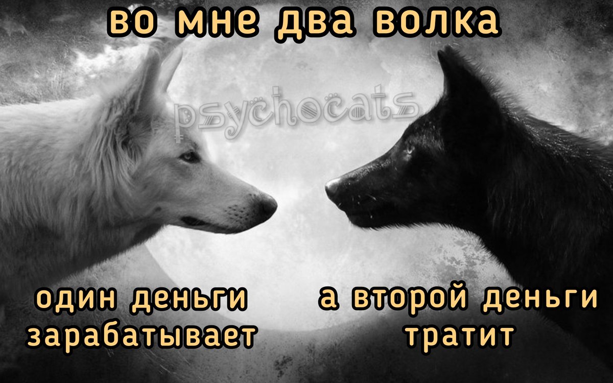 psycho__cats's tweet photo. Оба бомжи https://t.co/VQ5ogZoBM0