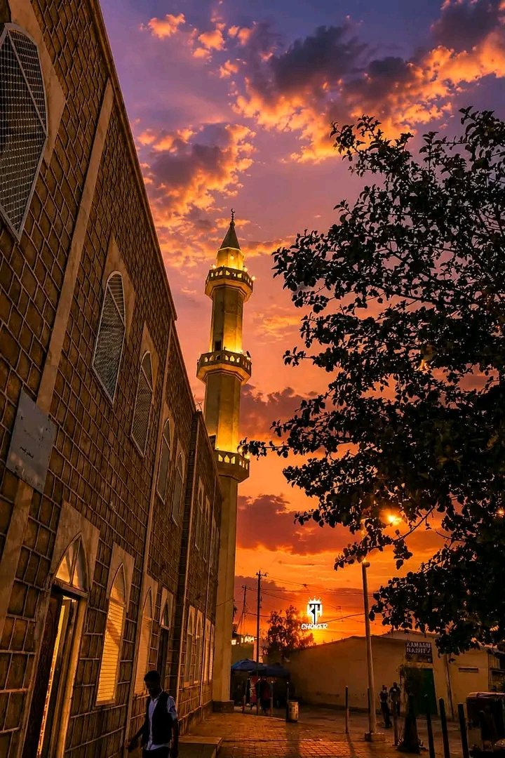 SahardidSms's tweet photo. Ceerigaabo ✅💝 https://t.co/2Hr0KUHS1R