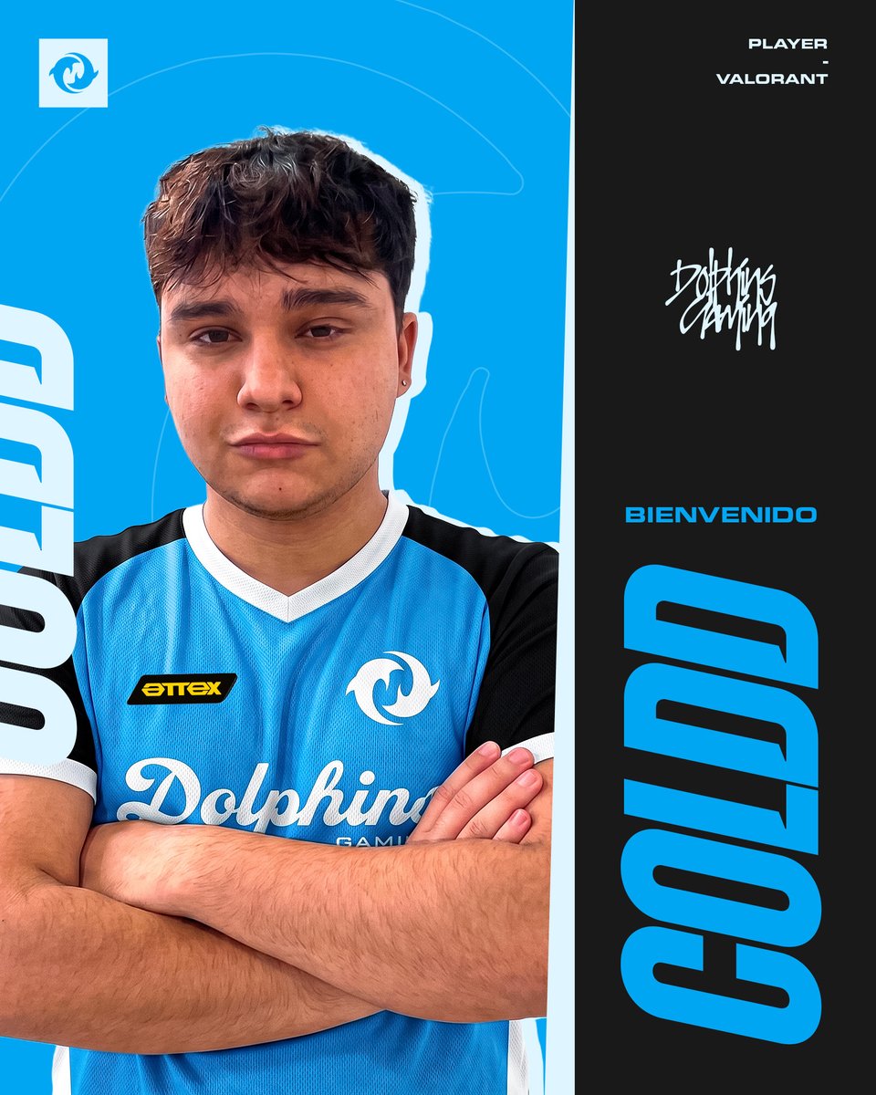 Dolphins gaming tweet media