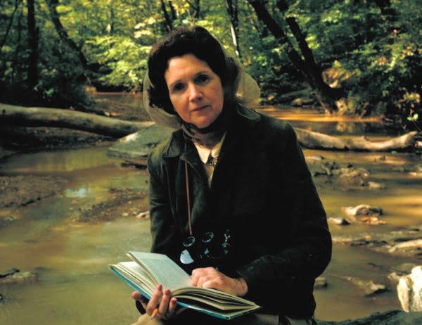 Saganismm's tweet photo. “The question is whether any civilization can wage relentless war on life without destroying itself, and without losing the right to be called civilized.”

— Rachel Carson https://t.co/Ppzf9Yi1do