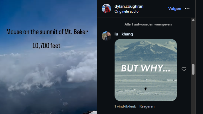 VampSolx's tweet photo. THIS MOUSE WAS FOUND OVER 10,000FT ON THE SUMMIT.... 

This mouse gained over 2M views and 10K likes in 1 day and is going viral for being the first mouse this high up. this is giga

https://t.co/7trV9K4ZIs

People are litt comparing it with the nietzschean penguin, isnt this bullish asf?