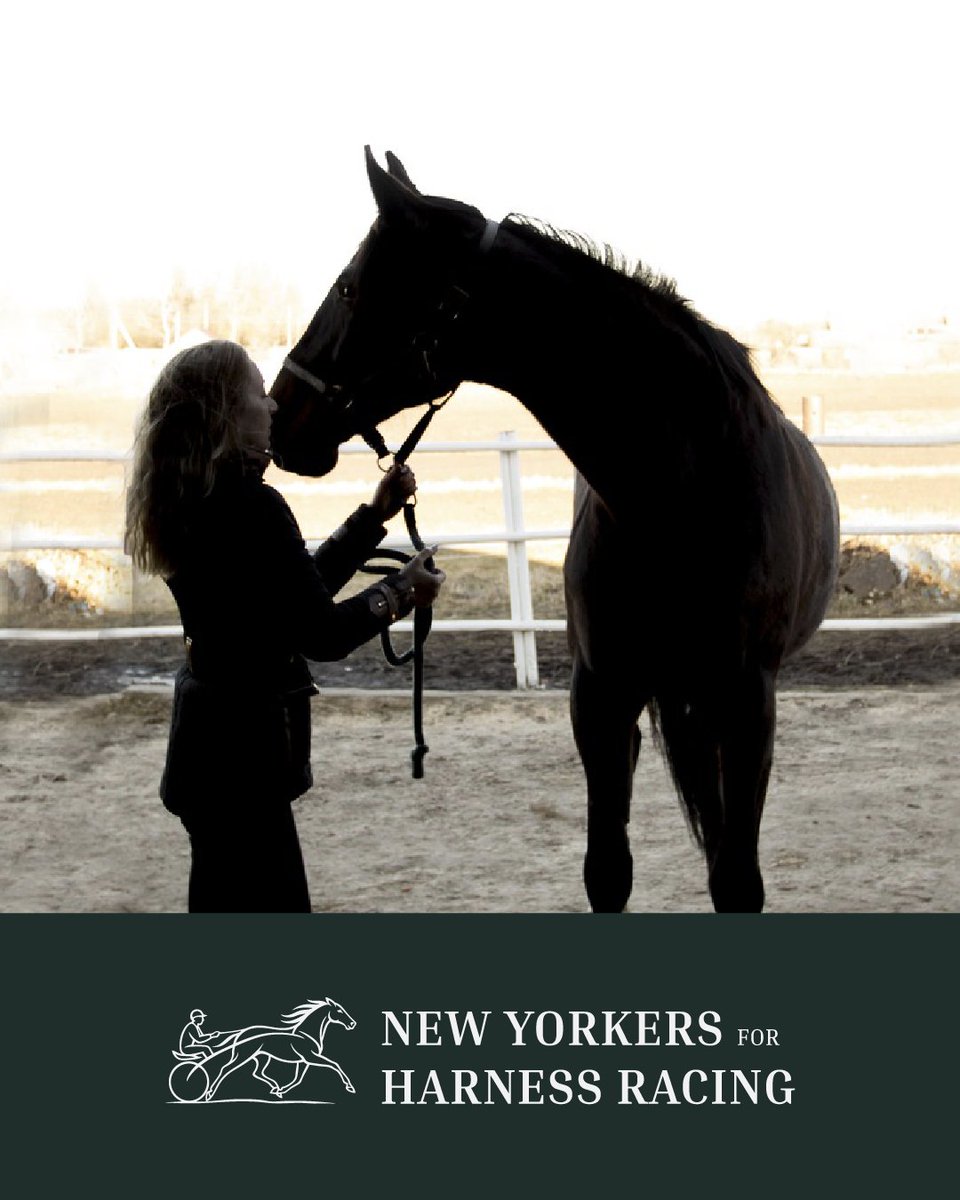 harnessracingNY's tweet photo. Programs like @TH_Saratoga give standardbreds opportunities to thrive in second careers such as equine therapy. Our horses make a positive impact in our communities long after their racing careers have ended. Follow us &amp; learn more.