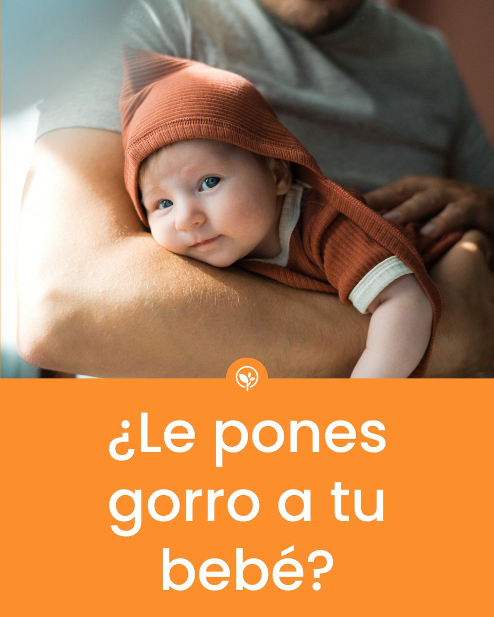 BCLatino's tweet photo. ¿Cuándo podré quitar el gorrito a mi recién nacido? Esto es lo que dicen nuestros especialistas: https://t.co/B0VBNvD3FW https://t.co/ZU1tW7ZbOT