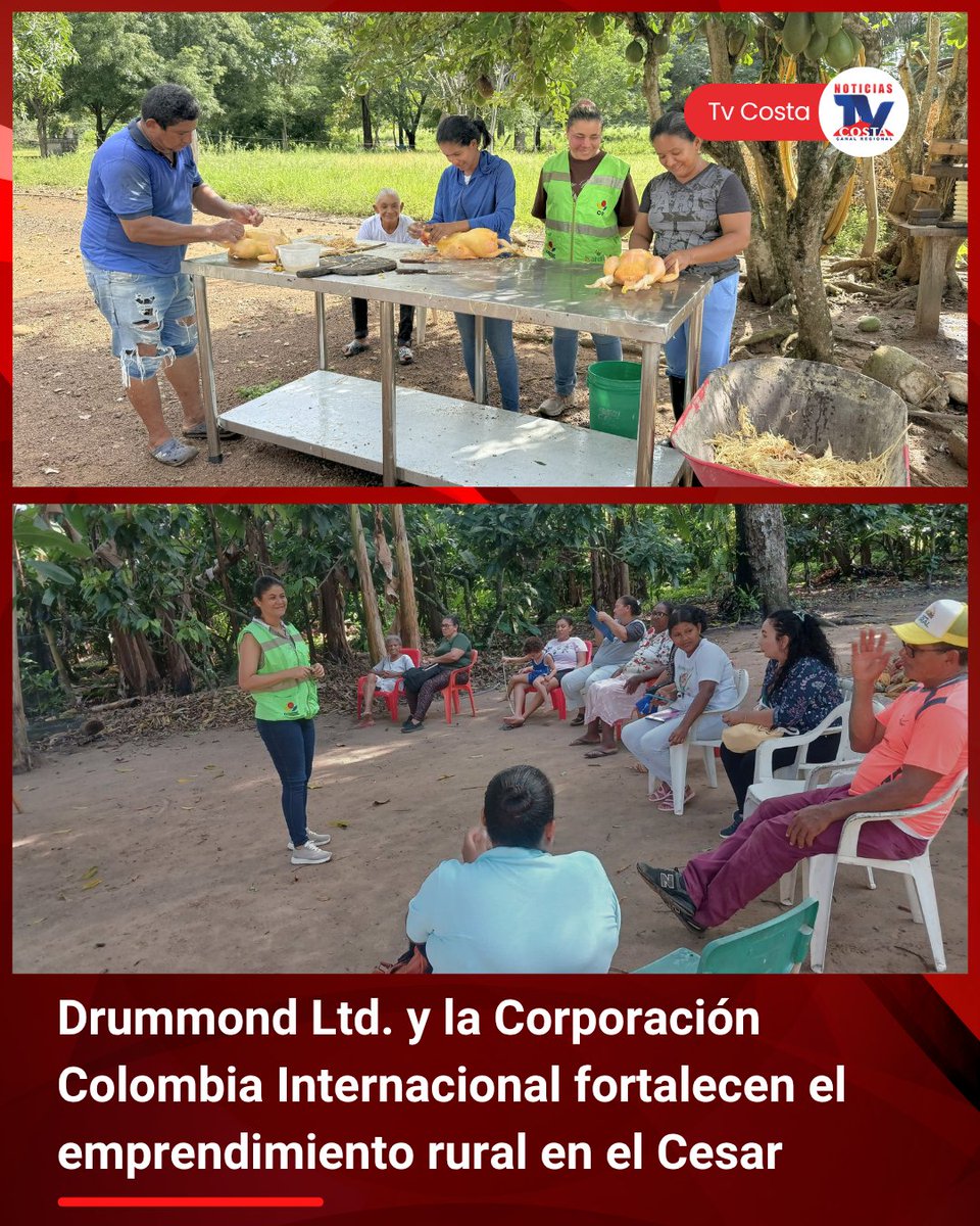 NoticiasTVCosta's tweet photo. Drummond Ltd. y la Corporación Colombia Internacional fortalecen el emprendimiento rural en el Cesar

@DrummondLtdCo https://t.co/VduGCbLCYD