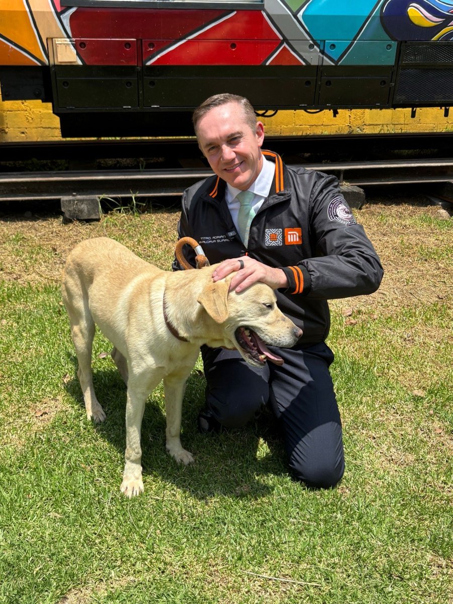 AdrianRubalcava's tweet photo. Hoy celebramos 9 años del Centro de Transferencia Canina del @MetroCDMX, un espacio que brinda una segunda oportunidad a los lomitos rescatados en nuestras instalaciones. Me enorgullece que, tan solo en el último año, 107 canes encontraran un nuevo hogar y 12 más regresaran con sus familias. Mi reconocimiento al personal del @CTCDelMetro, a las asociaciones, voluntarios y donantes que hacen posible esta labor. Los invito a conocer este espacio, adoptar con responsabilidad o sumarse con donaciones en especie para seguir cambiando la vida de nuestros huéspedes. #CuidarlosTambiénEsParteDelViaje
