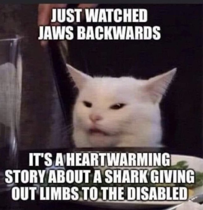 SmudgeCatMeme's tweet photo. Don't fade at this level https://t.co/8pq4wDgMG3