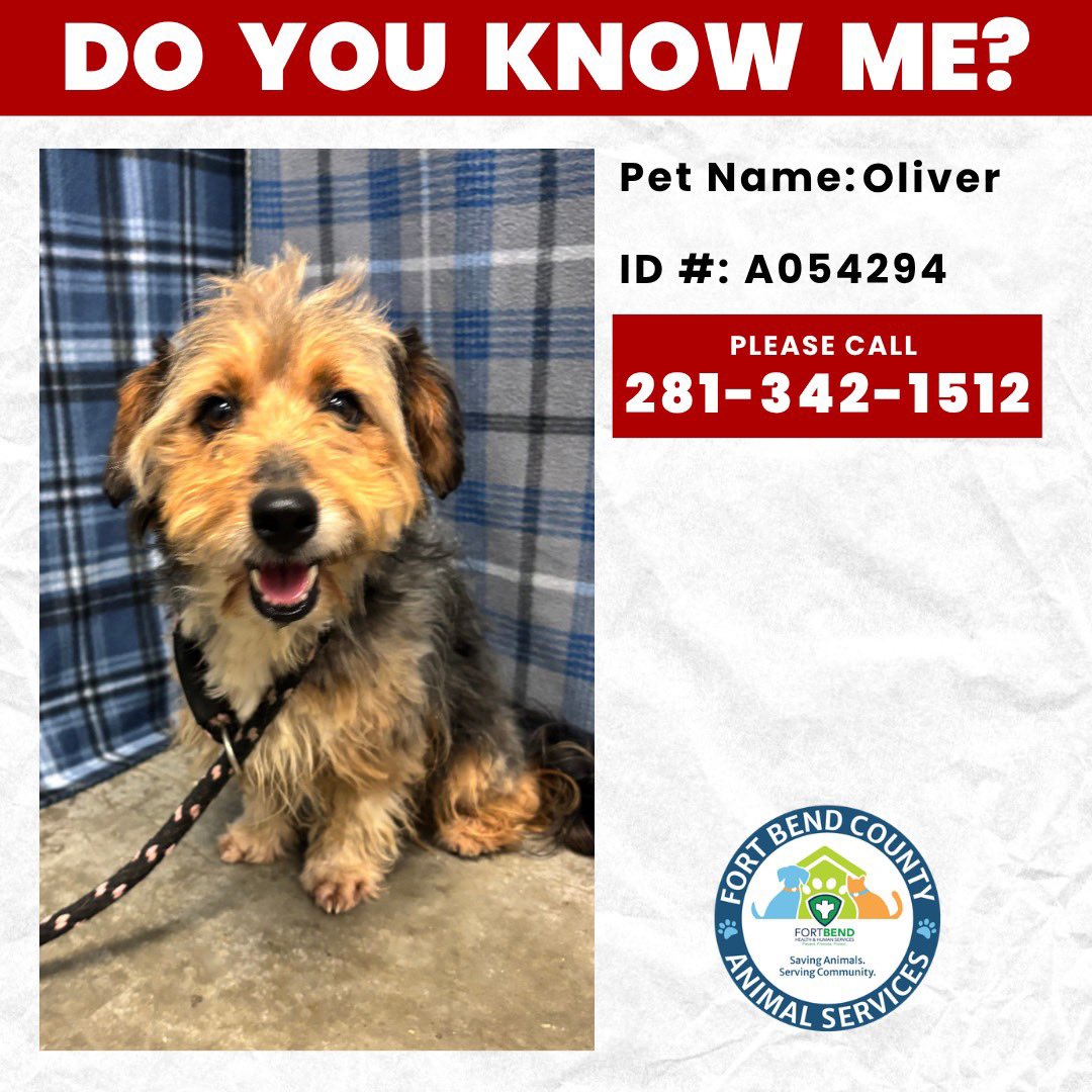 Fort Bend Animal Services tweet media