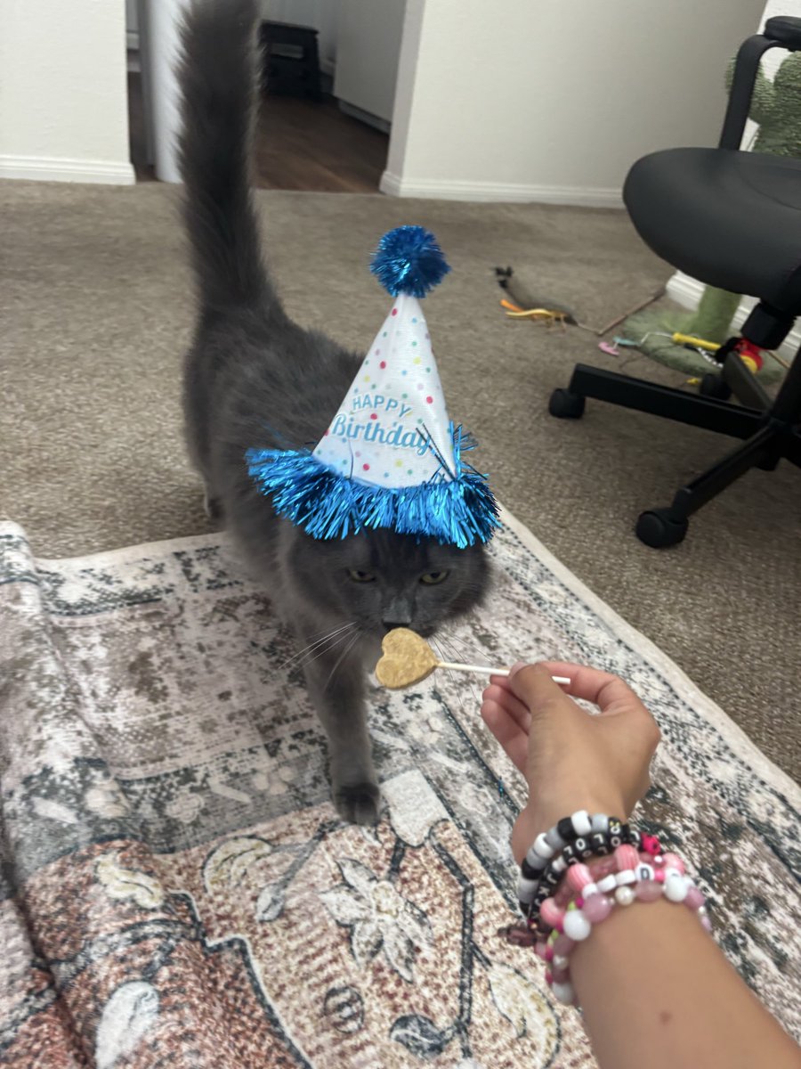 lesterluvrr's tweet photo. anyway its my kittys bday everyone say happy birthday kota !!:3 https://t.co/hScU0CZp37