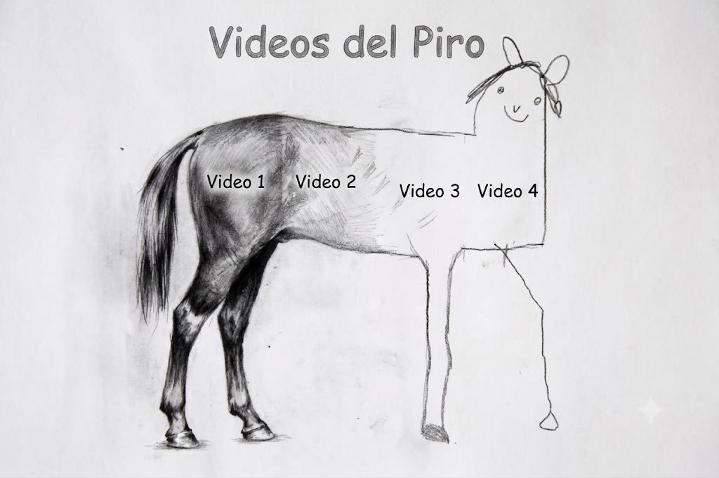 KPININI tweet media