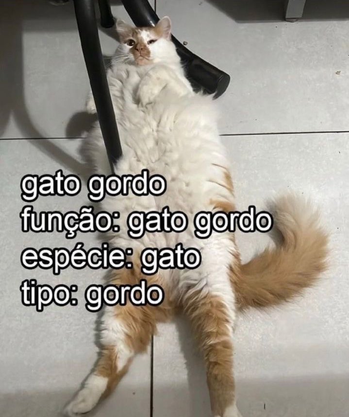 gatinarios's tweet photo. https://t.co/7K9jCEPzbu