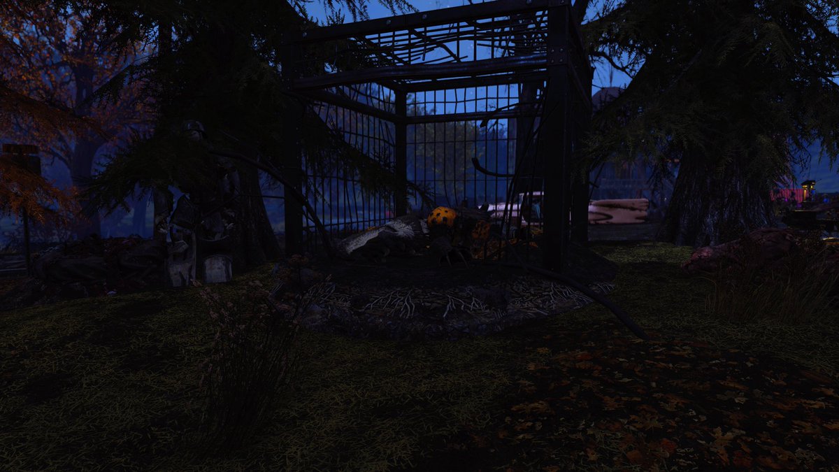elr2ben86048's tweet photo. Gracias al vídeo de @Youyosong recomendado el lote del sanguinario de @Fallout 76 pude animarme a comprarlo y me encantoooo, gracias papi bethesda por hacer este increíble lote de mascota, me gusta como se ve en mi camp 🦖🦖 https://t.co/EW3u8Nvt3e