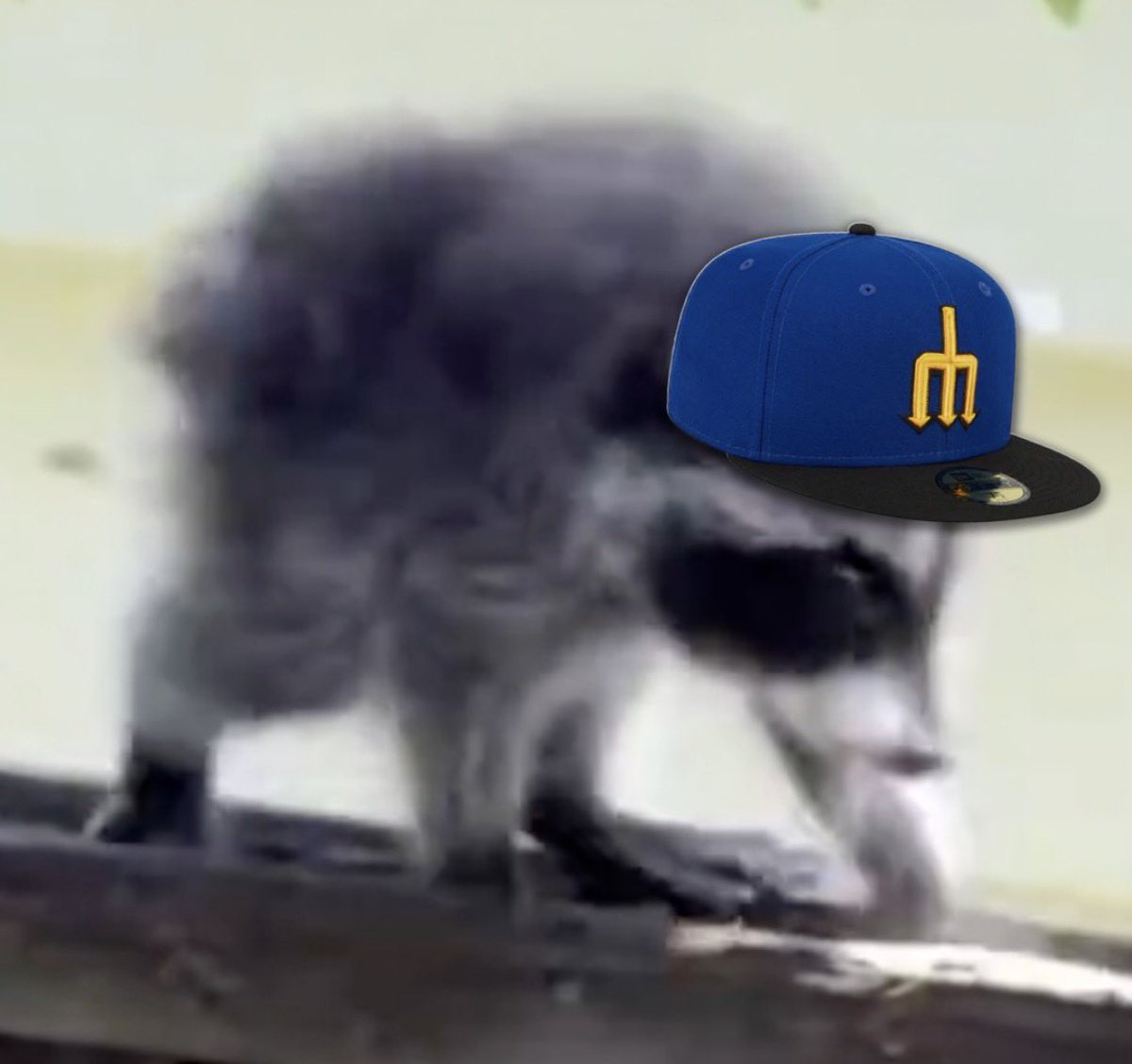 dubseatv tweet picture