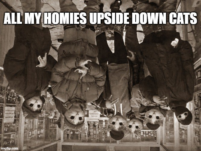 HexicanHeartel tweet picture