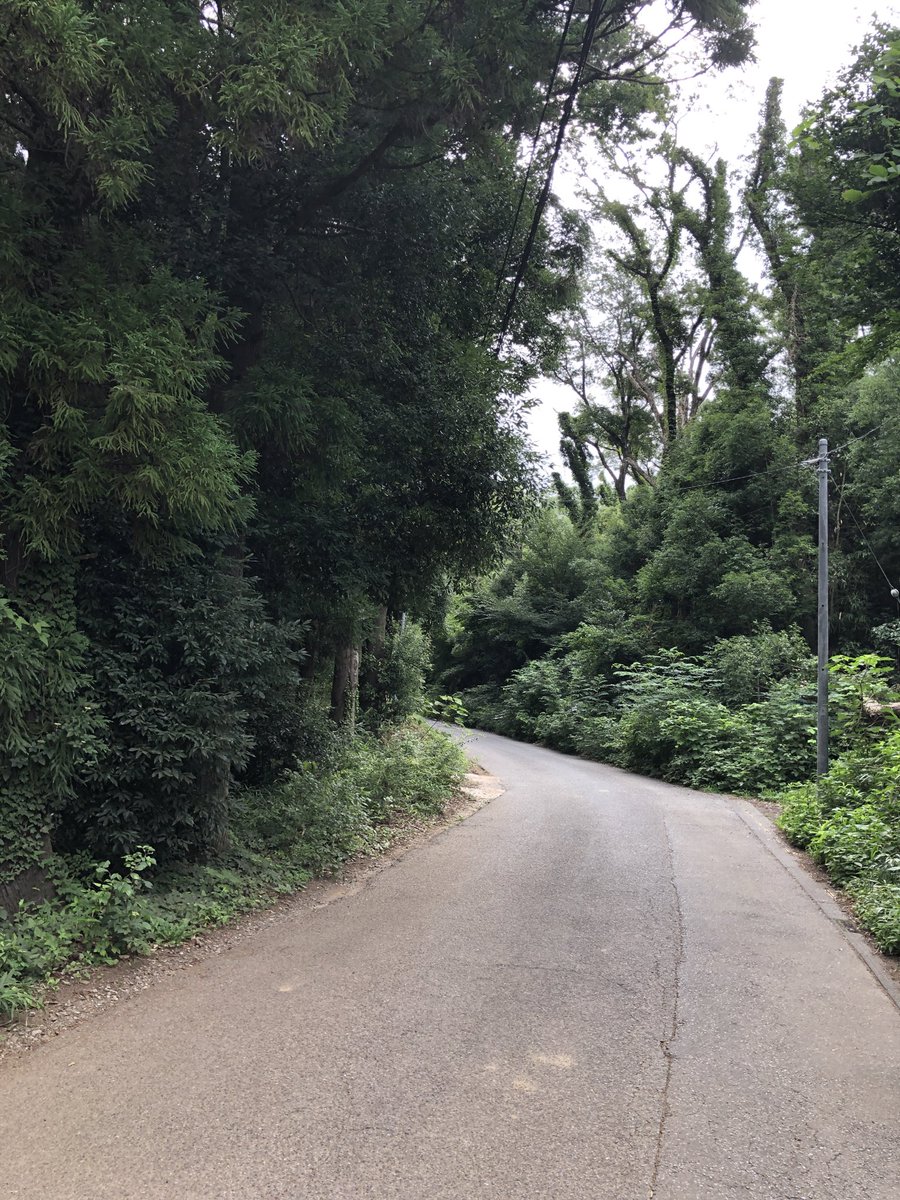 suke3desu's tweet photo. 今朝のウォーキング+ランは格別でした。
自然に囲まれながら、体動かす。
1日が最高の気分から始まる。

休みこそ、自然+運動でリフレッシュ！ https://t.co/6WzmY4fMd8