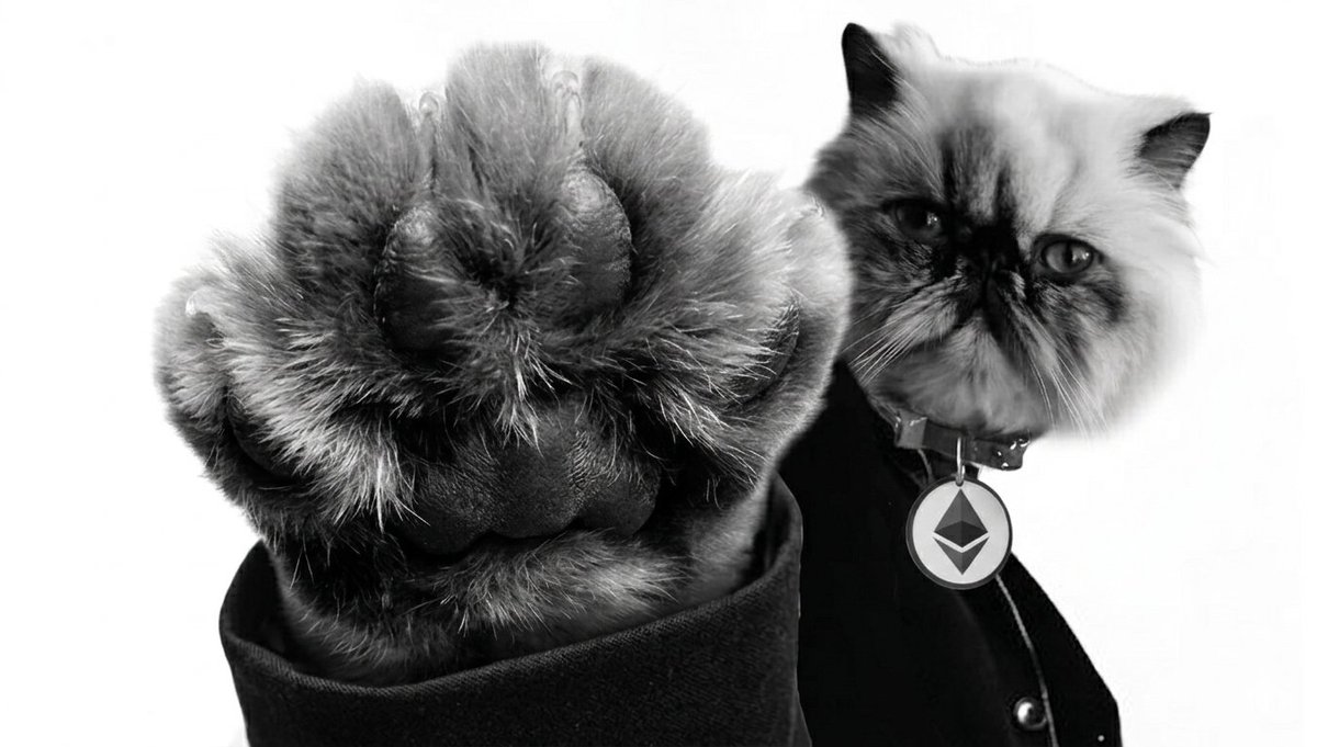MrMigglesOnBase's tweet photo. @coinbase hollup, u 4got

- Memes &amp; Cute Cat Pics

carry on... https://t.co/y1equ5FhhM