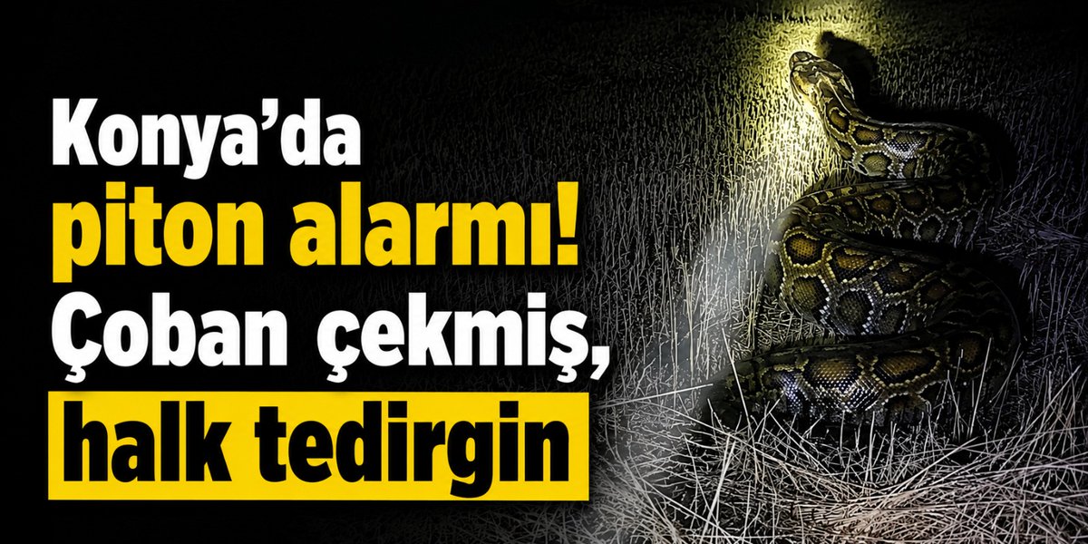 HaberDairesi's tweet photo. Konyalı çiftçilere gece yarısı acil uyarı yapıldı! Tarlada devasa tehlike... 
https://t.co/yByhpKcBRQ https://t.co/f4qCb4UlZ6