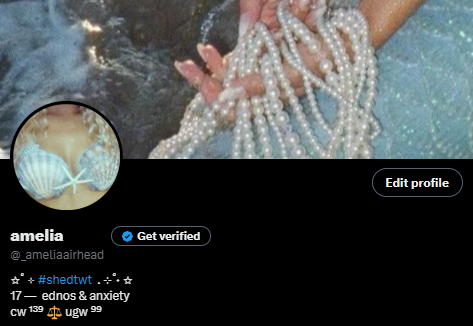 _ameliaairhead's tweet photo. new layout don't forget me https://t.co/tlqTWuRMbl