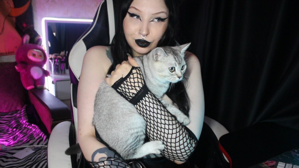 Ellie62869's tweet photo. We online🖤🖤🖤🖤🔥🔥🔥

https://t.co/93CUtmkRAK

https://t.co/VRB8Va7o8s

https://t.co/0C6UWVVhvM 

🐈‍⬛🐈‍⬛🐈‍⬛🐈🐈🐈 https://t.co/ZMh3ZSktFH